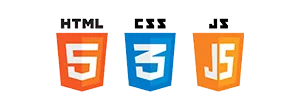 HTML CSS JS